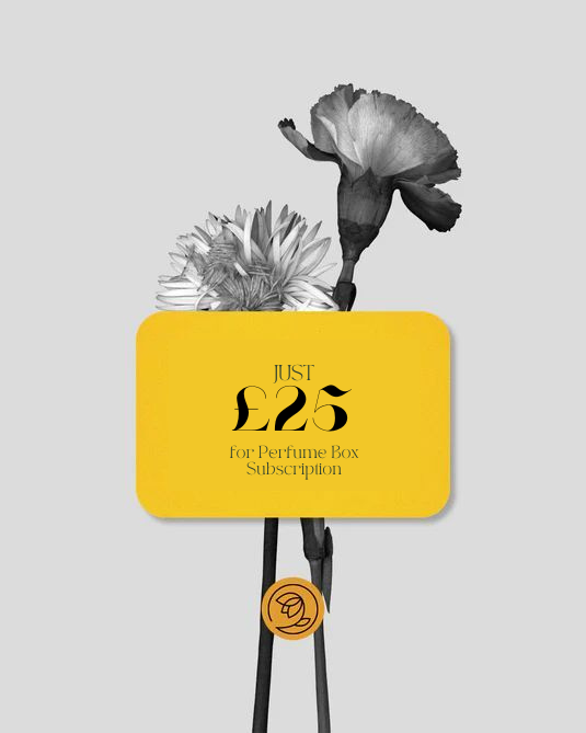 Mystery Box: Perfume Subscription – Fragrance Revolution Boutique