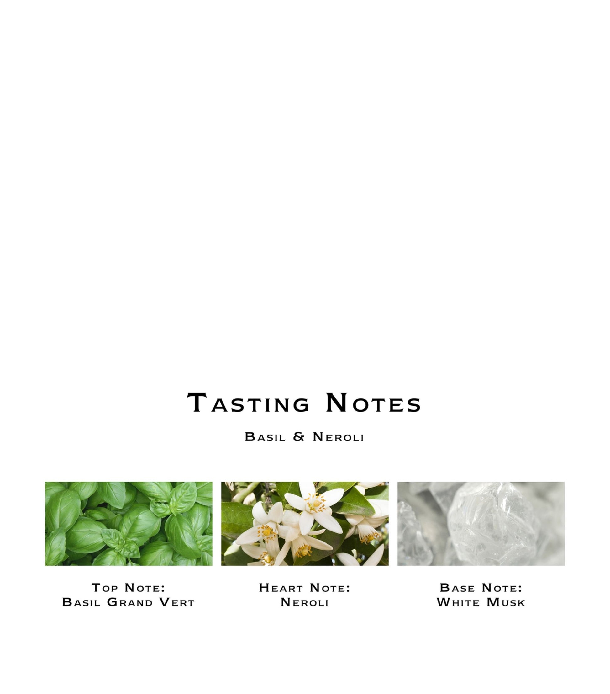 JO MALONE LONDON Basil & Neroli Cologne notes