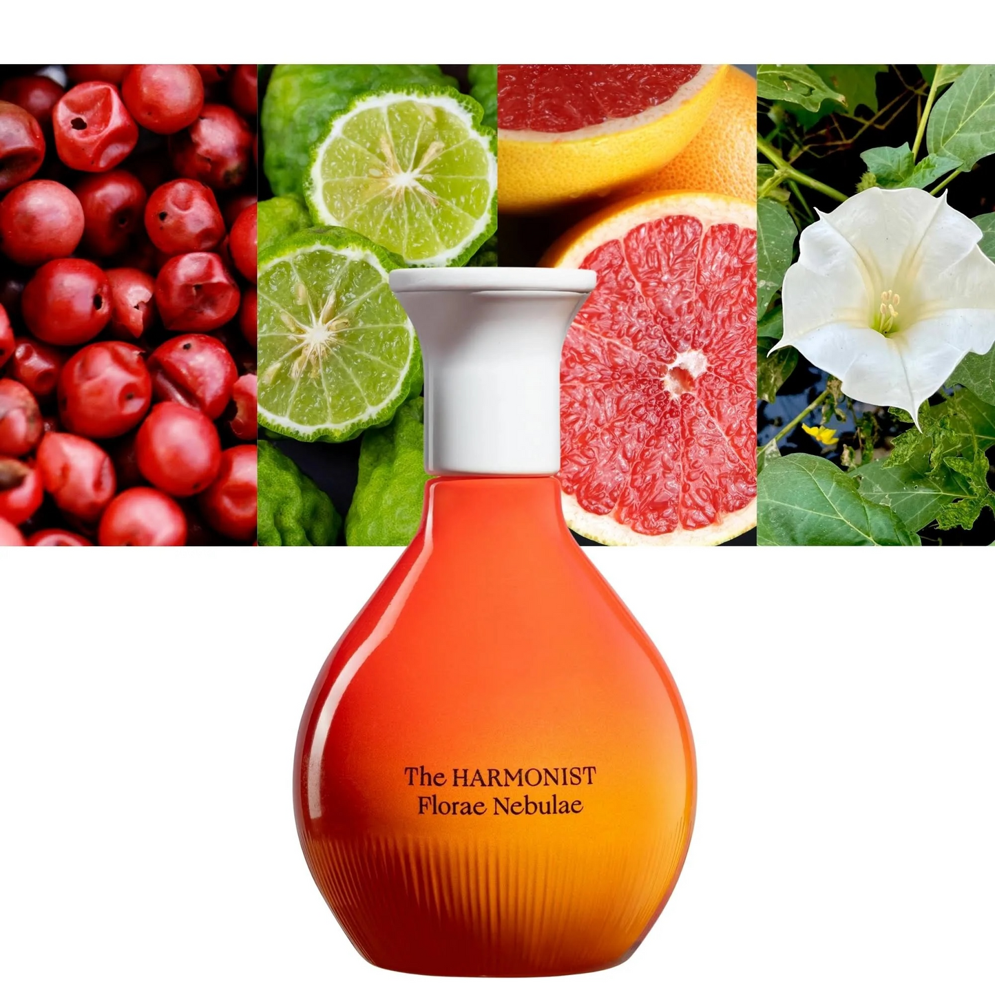 THE HARMONIST Florae Nebulae Pure Perfume